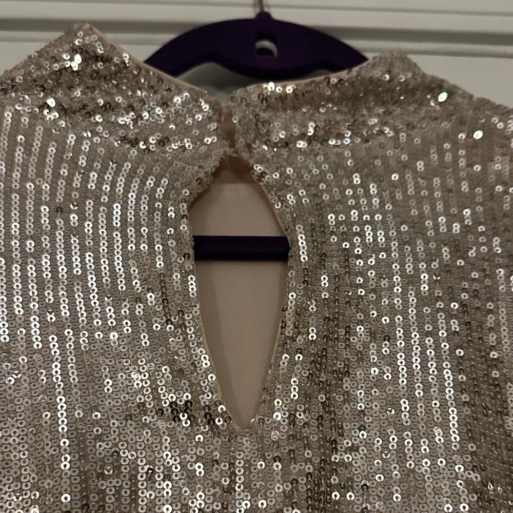 Silver Sequin Long Sleeve Dress - Picture 8 of 16
